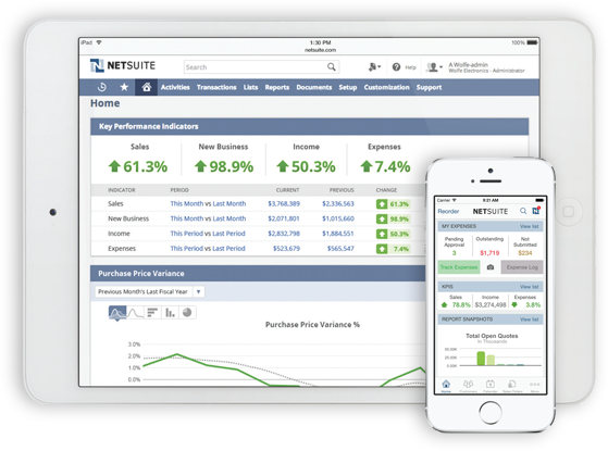 NetSuite Dashboard