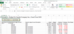sage300-article-budgets