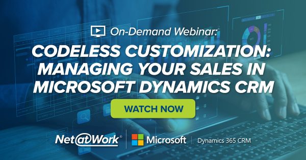 Codeless Customization: Managing Your Sales in Microsoft Dynamics CRM