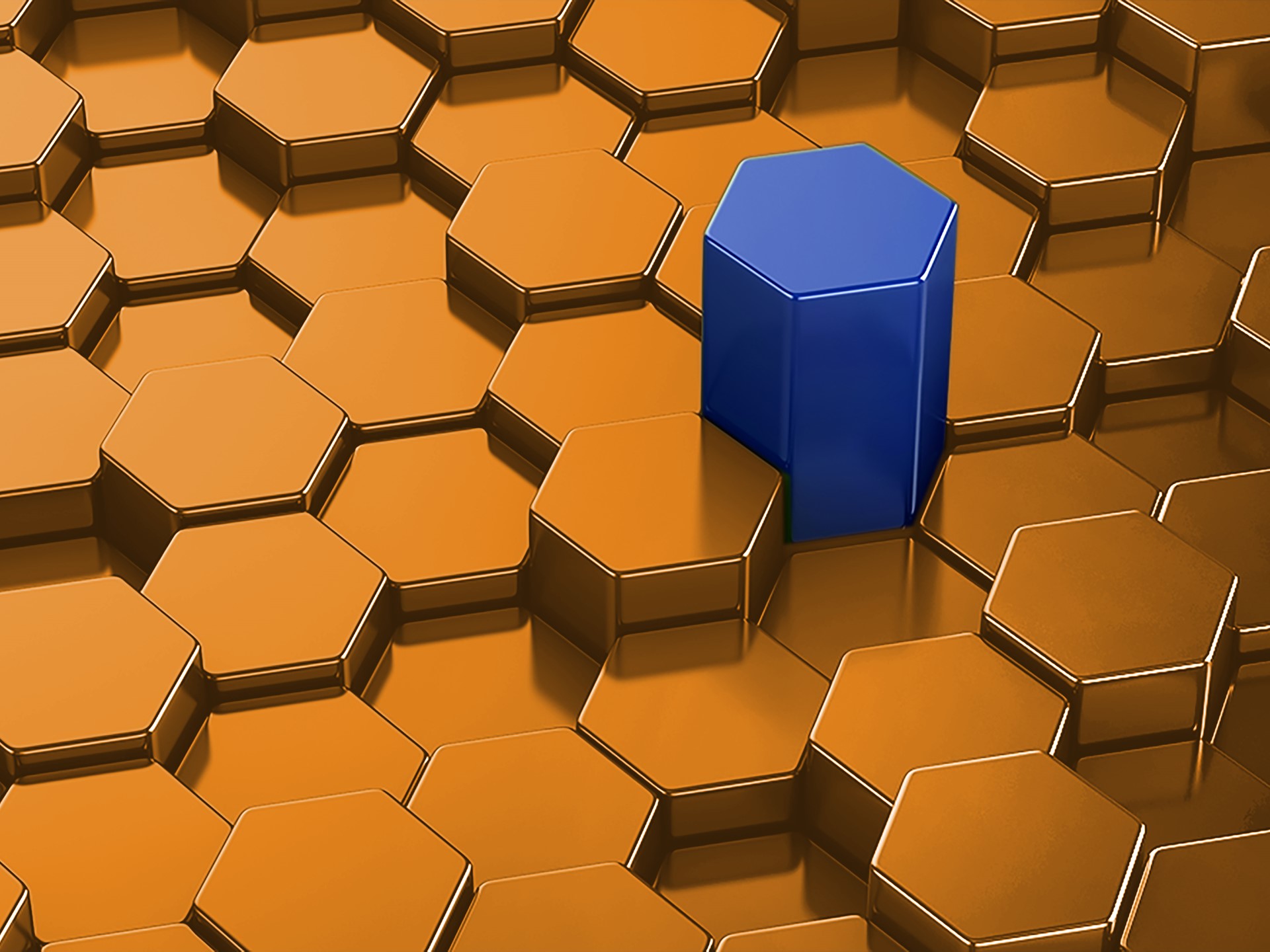 Palmer-Holland-Hero_high-res